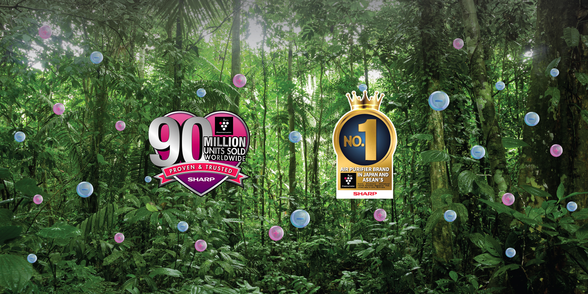 80mil-no.1-desktop.jpg