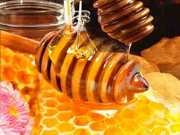Konsumsi%206%20Makanan%20Sehat%20Berikut%20Agar%20Puasa%20Lebih%20Berkualitas%202.jpg