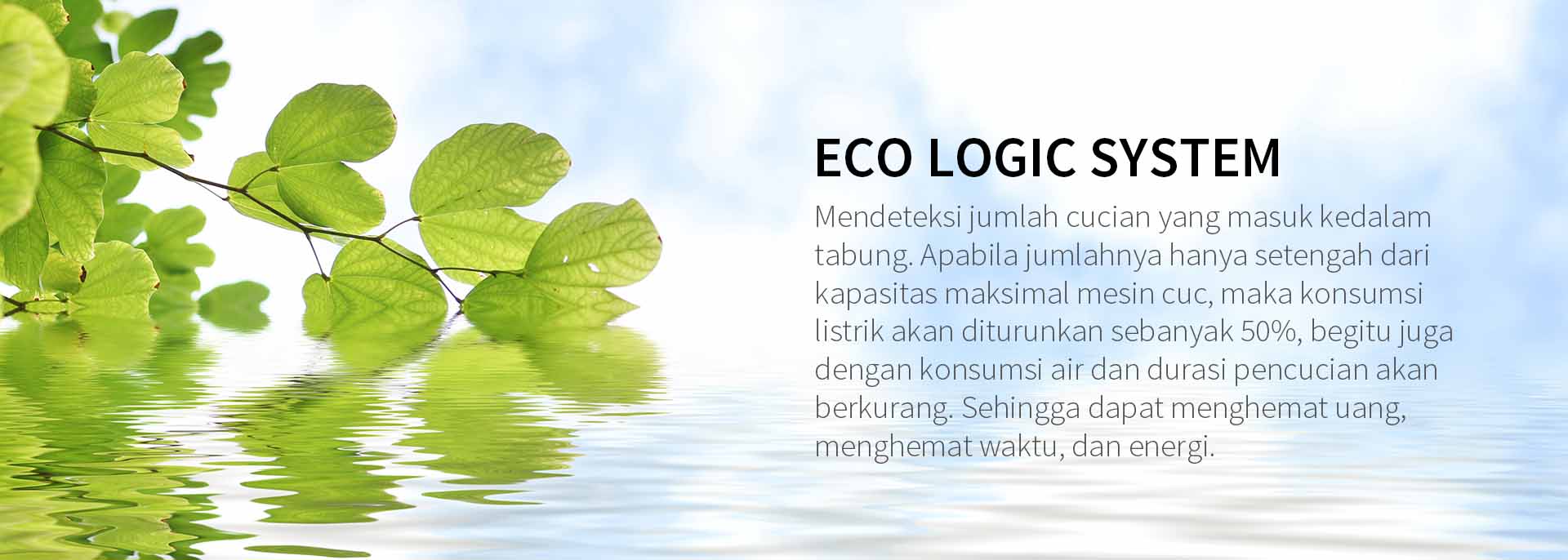 Eco%20Logic%20System%203.jpg